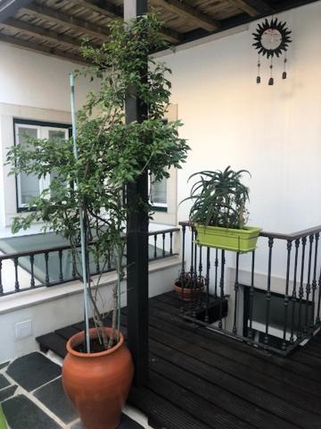Courtyard House - Sun, Barbecue, Beach Сесимбра Екстериор снимка
